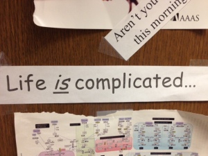 life is complicated